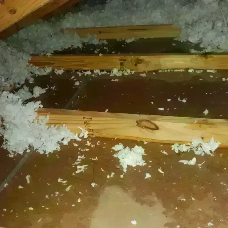 Attic Water Damage in Washington, NC