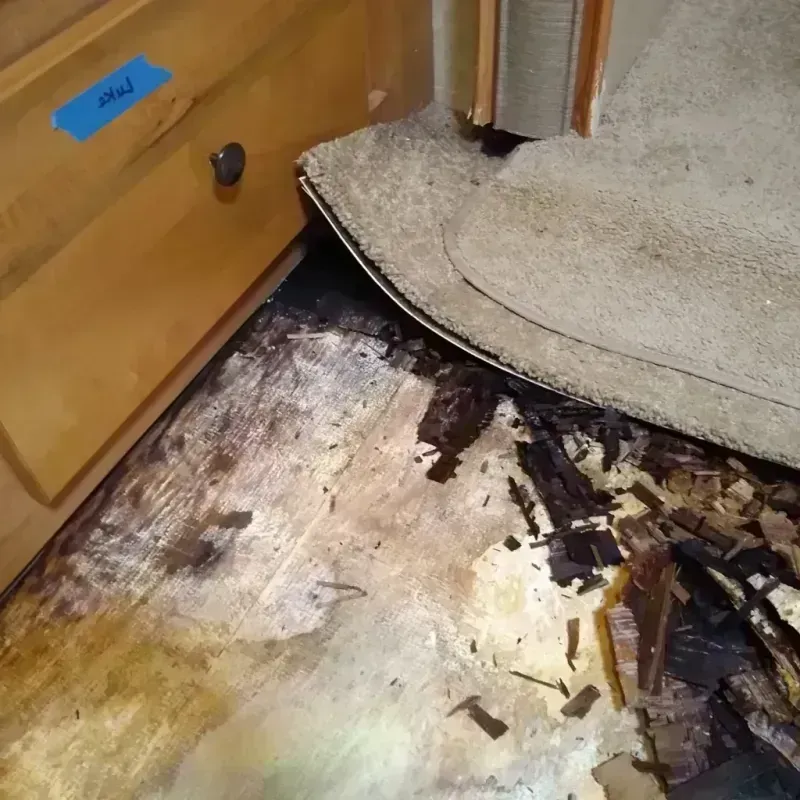 Wood Floor Water Damage in Washington, NC